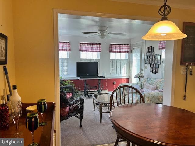 501 Musket Ridge Road photo 12