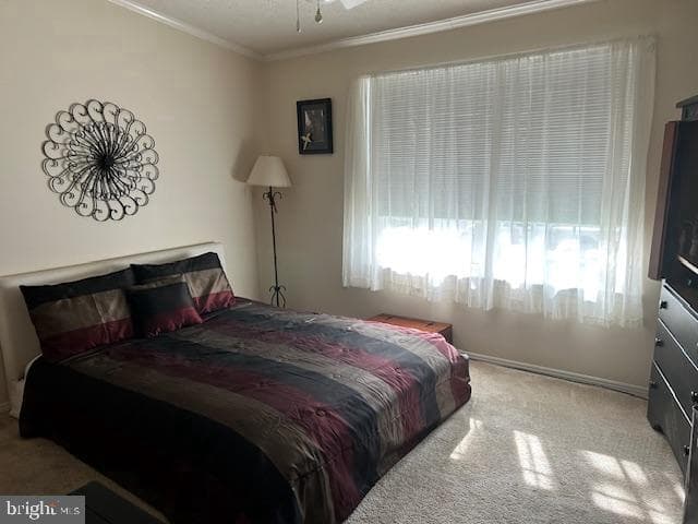 501 Musket Ridge Road photo 24