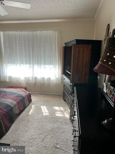 501 Musket Ridge Road photo 25