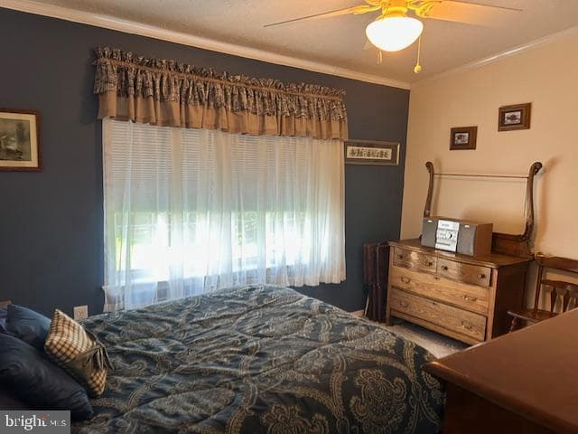 501 Musket Ridge Road photo 27