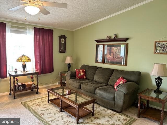 501 Musket Ridge Road photo 3