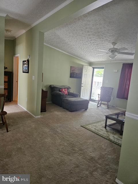 501 Musket Ridge Road photo 4