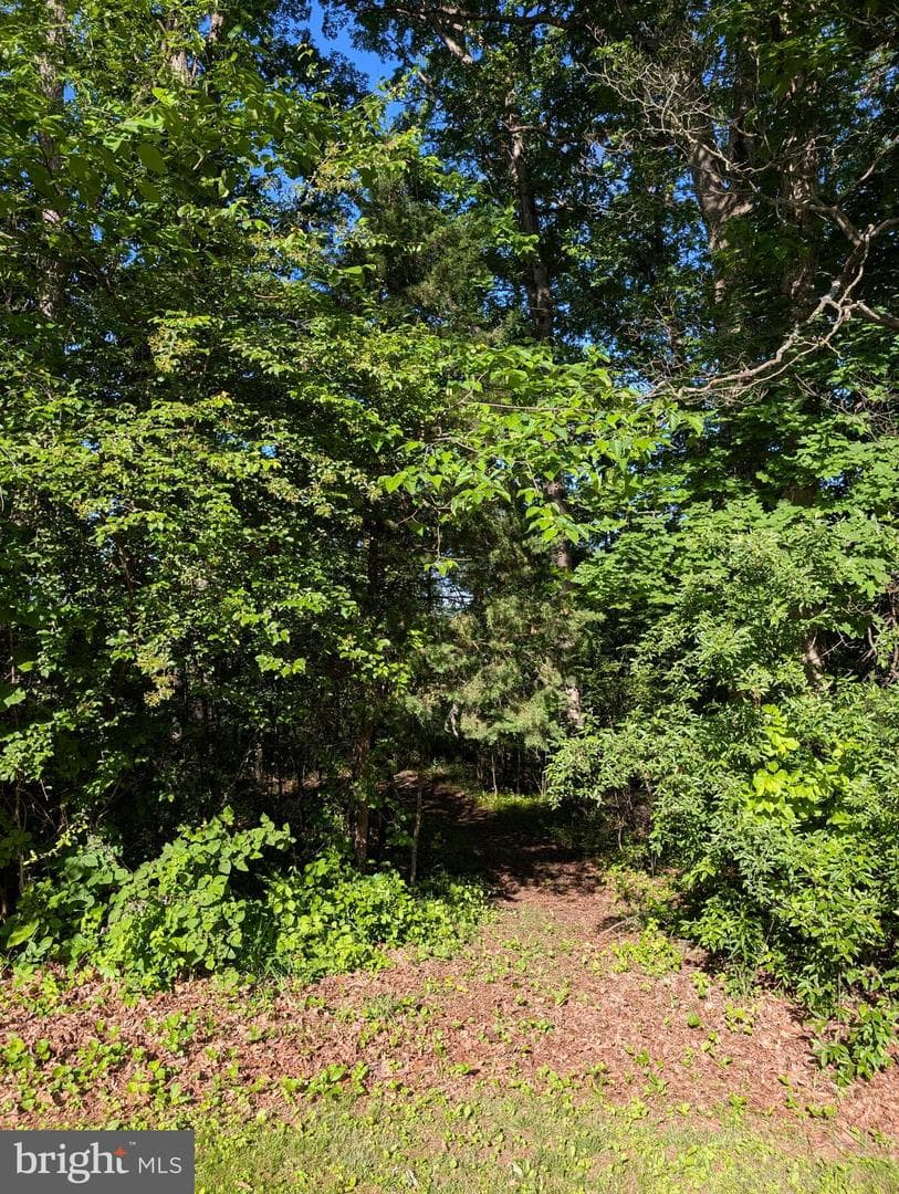 380 Belmont Road photo 13
