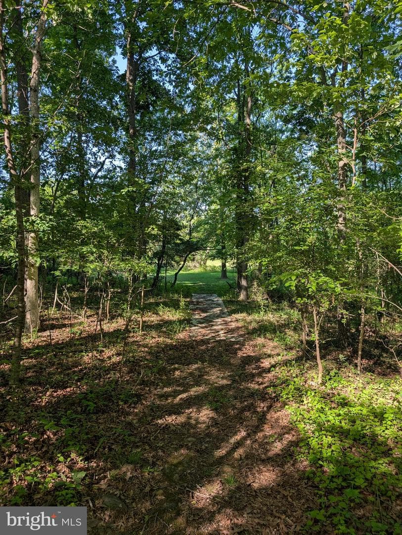 380 Belmont Road photo 14