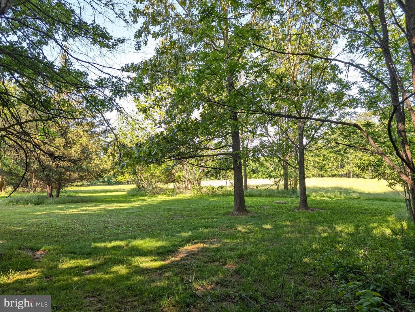 380 Belmont Road photo 15