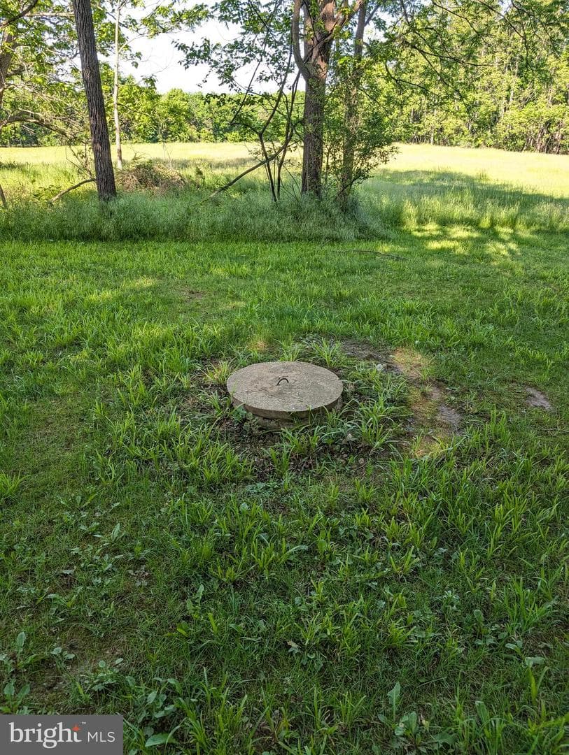 380 Belmont Road photo 16