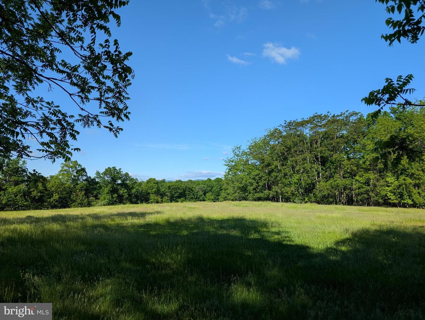 380 Belmont Road photo 17