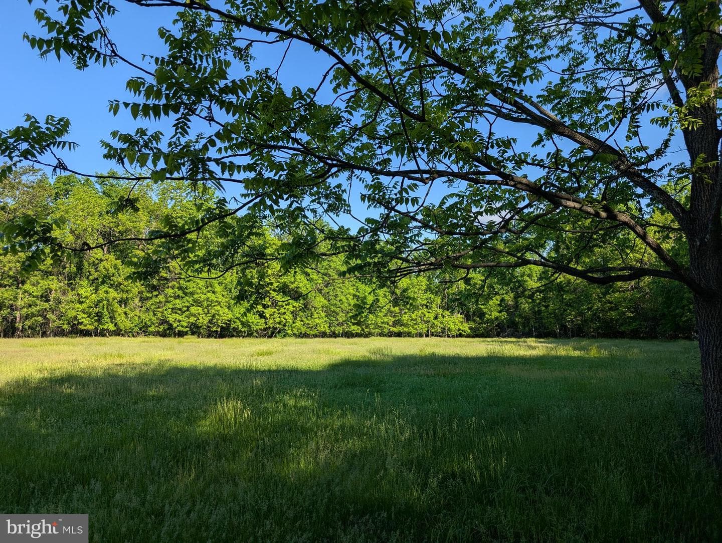 380 Belmont Road photo 18