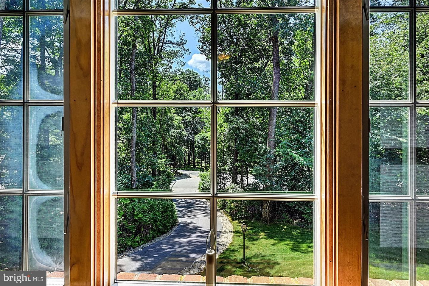 59 Segovia Court photo 30