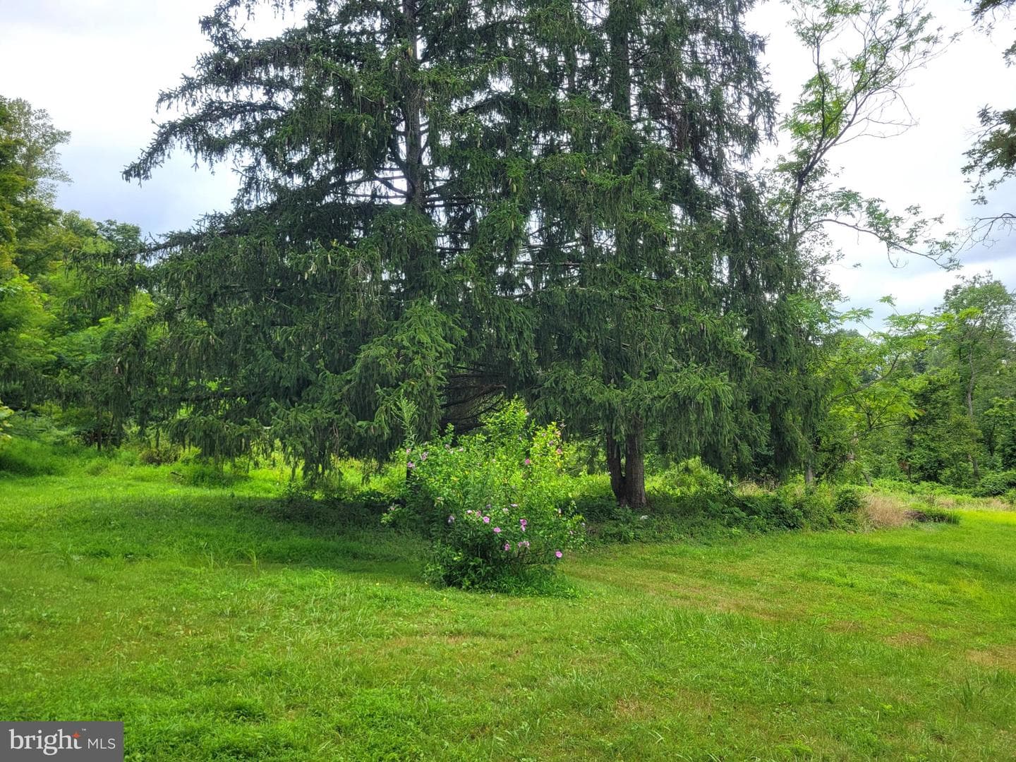 179 Topper Road photo 16