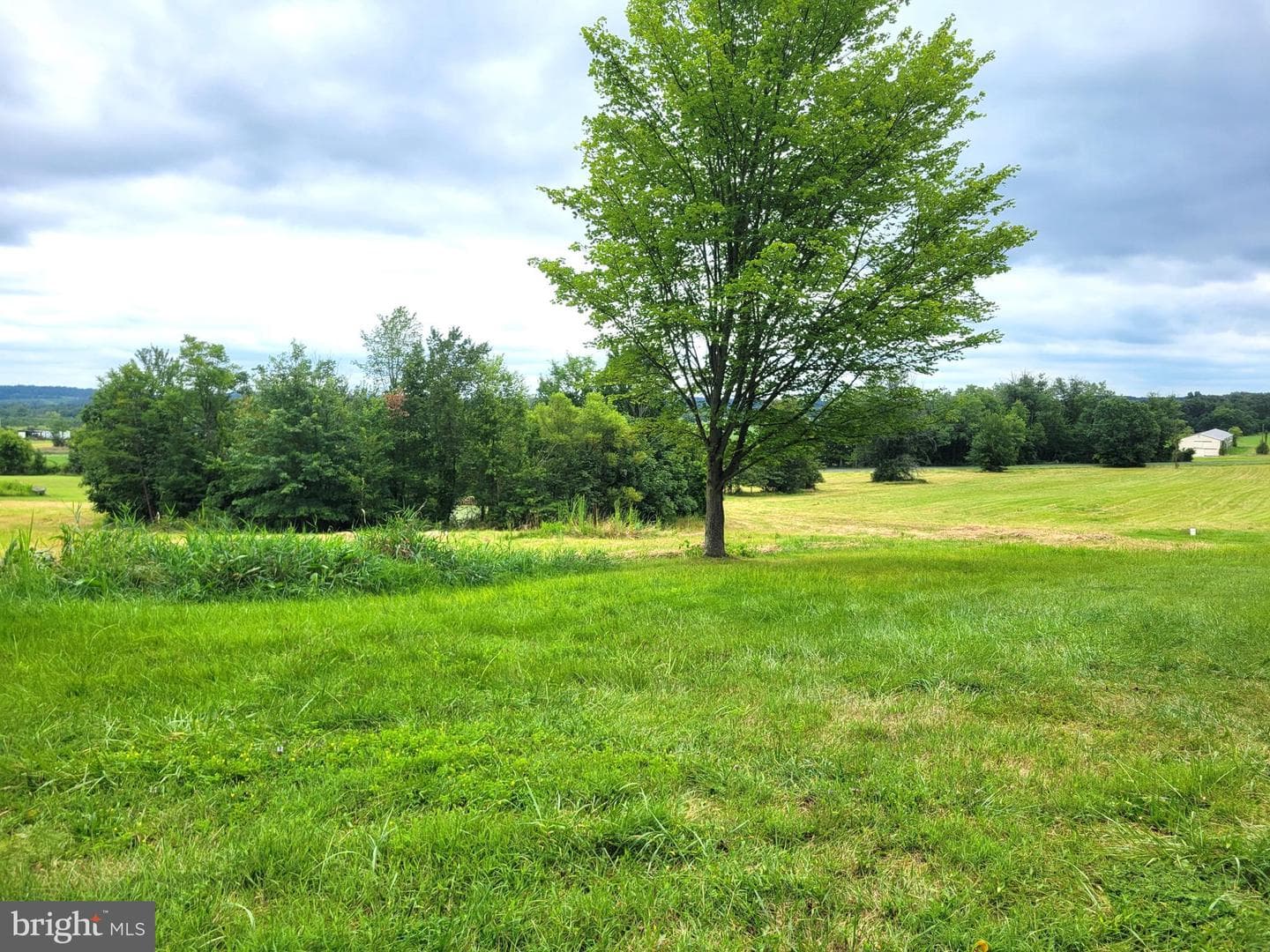 179 Topper Road photo 17