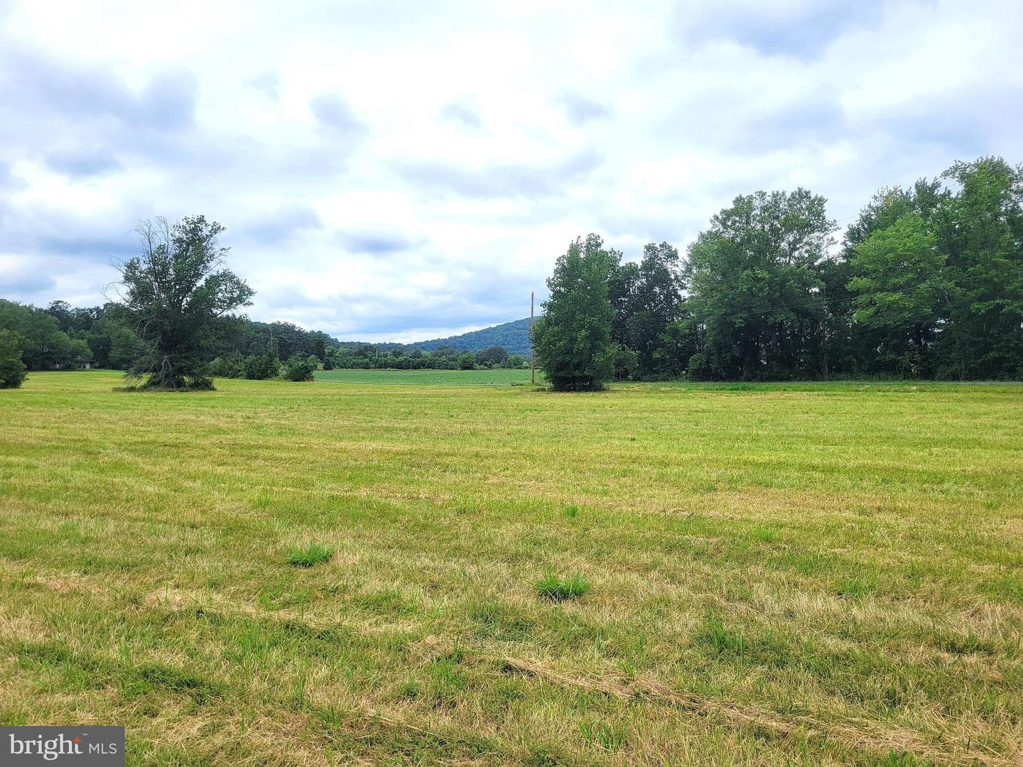 179 Topper Road photo 21