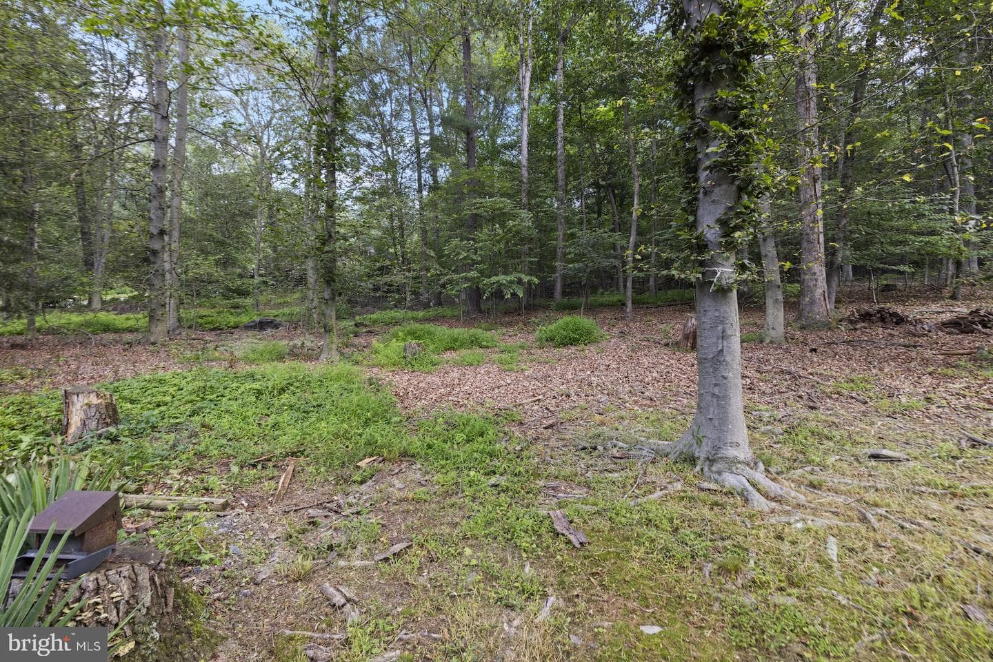 993 Mount Hope Road photo 58
