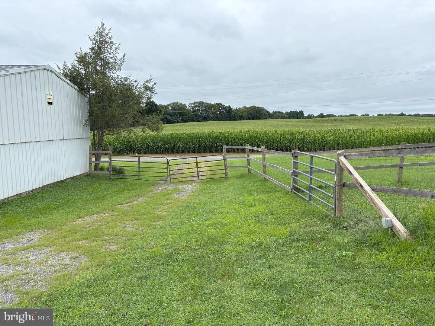 290 Woods Road photo 44