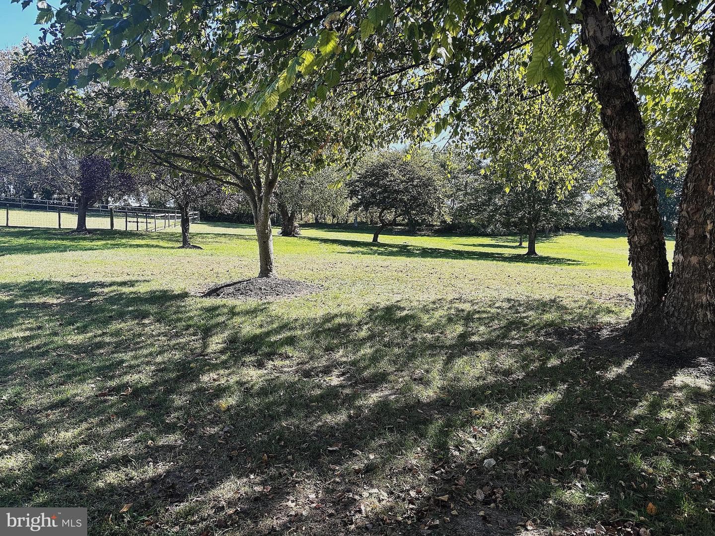 290 Woods Road photo 7