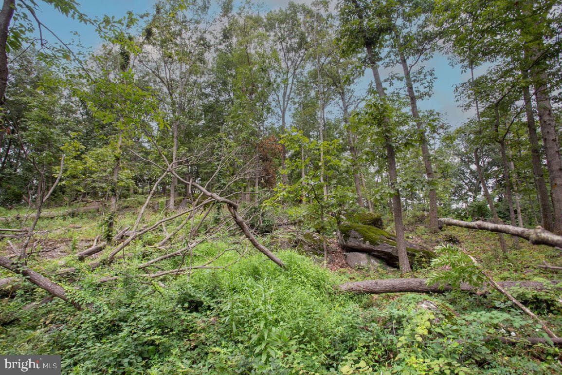 2325 York Road photo 41