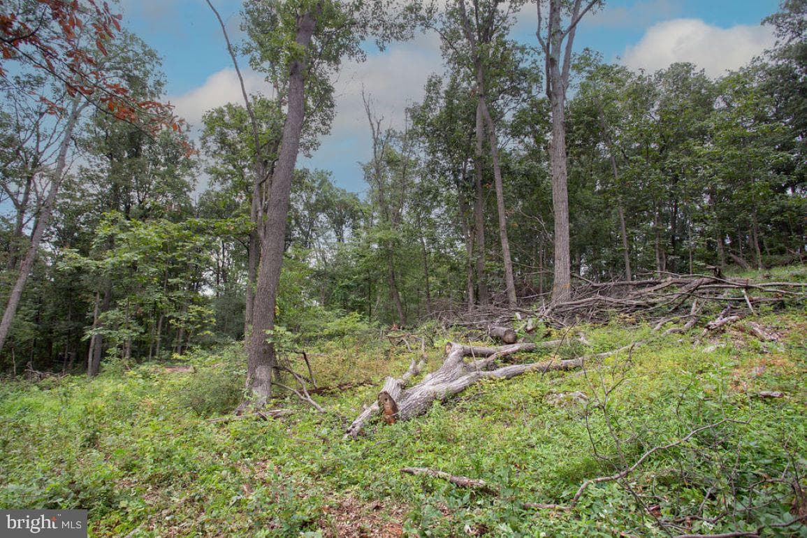 2325 York Road photo 42