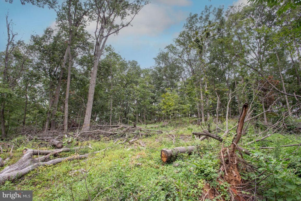 2325 York Road photo 43
