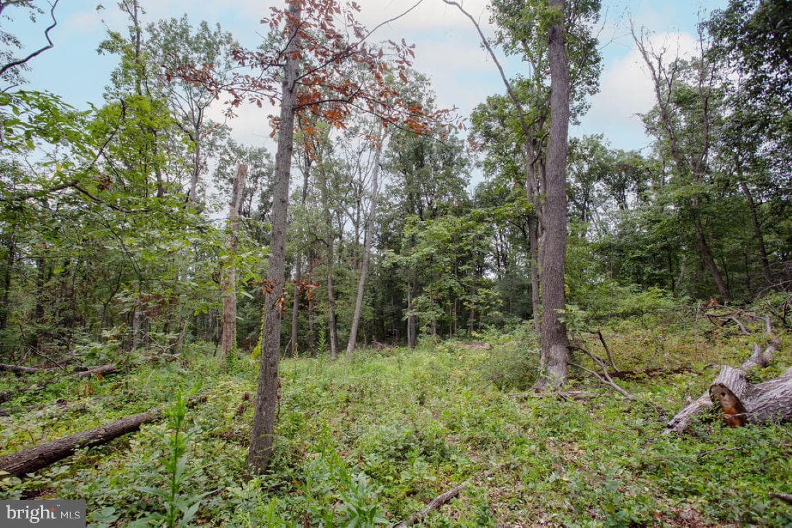 2325 York Road photo 44