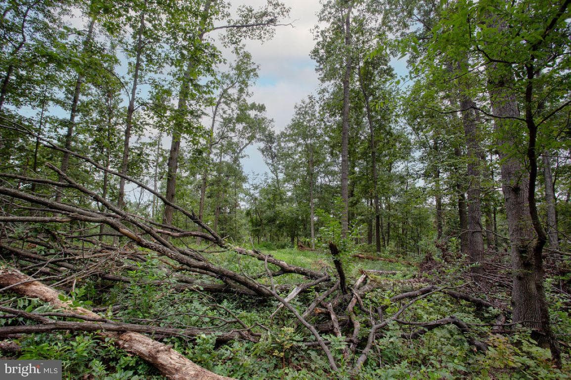 2325 York Road photo 45