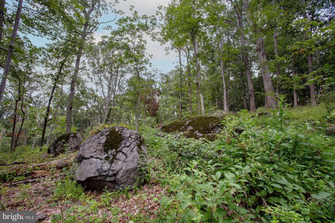 2325 York Road photo 46
