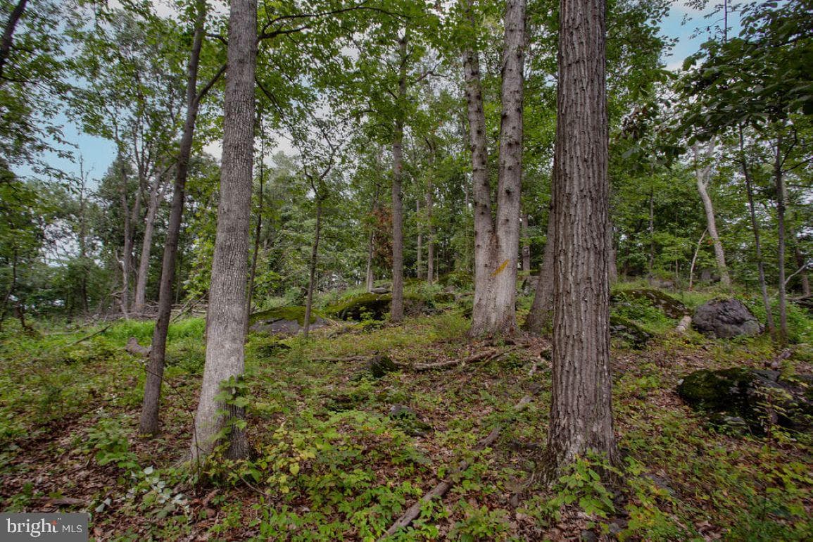 2325 York Road photo 48