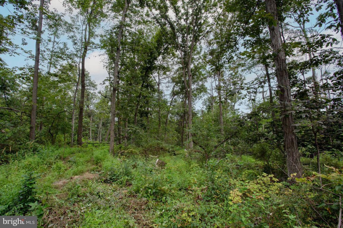2325 York Road photo 51