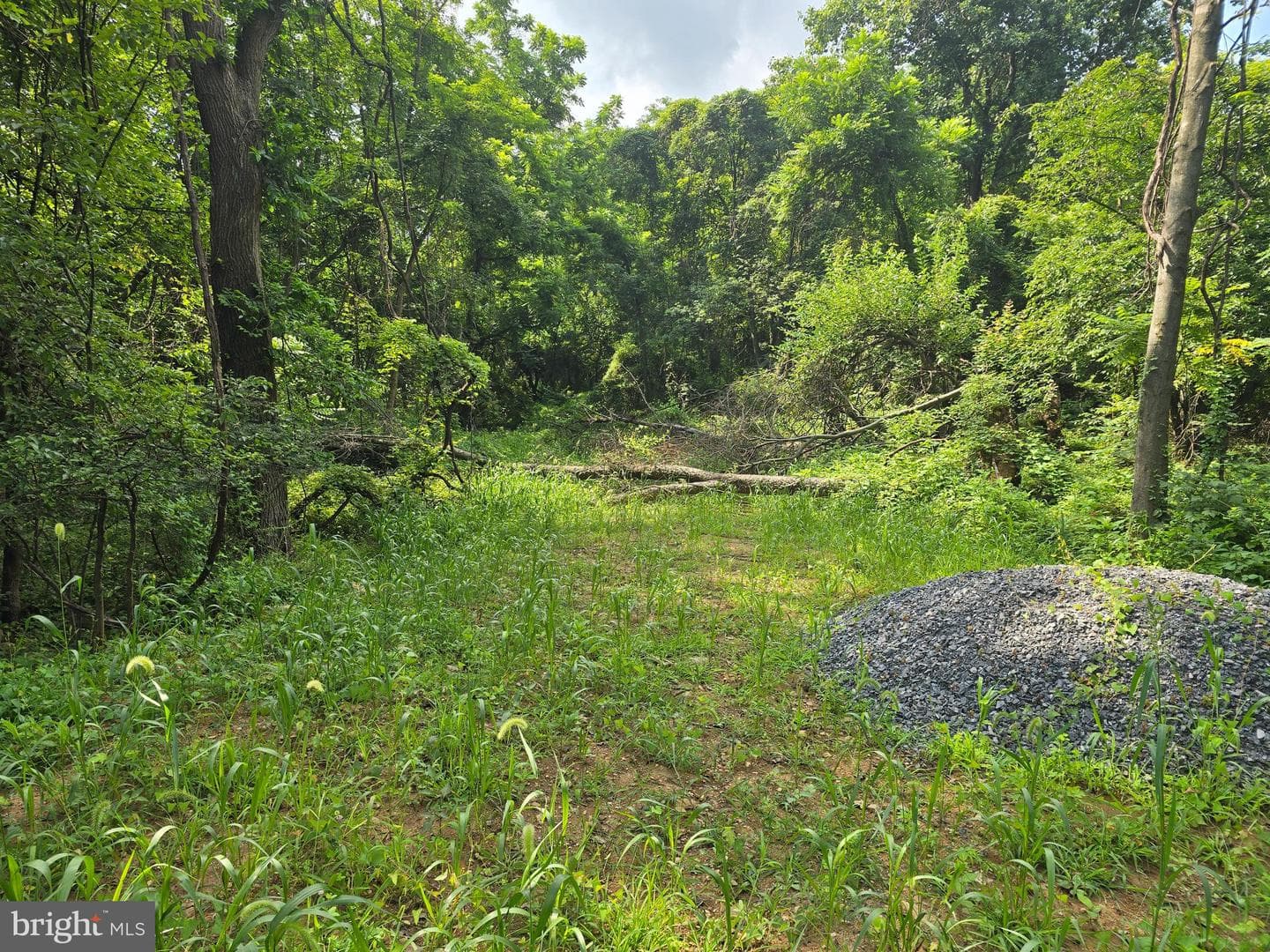 22 Sunshine Trail photo 2