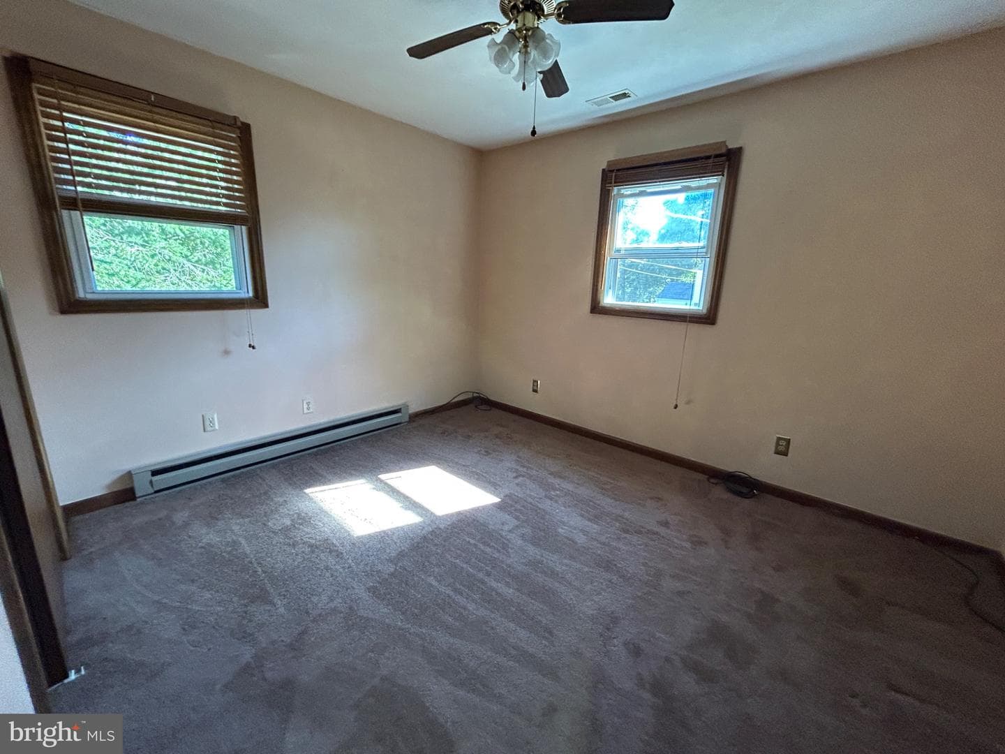 161 Early Avenue photo 10