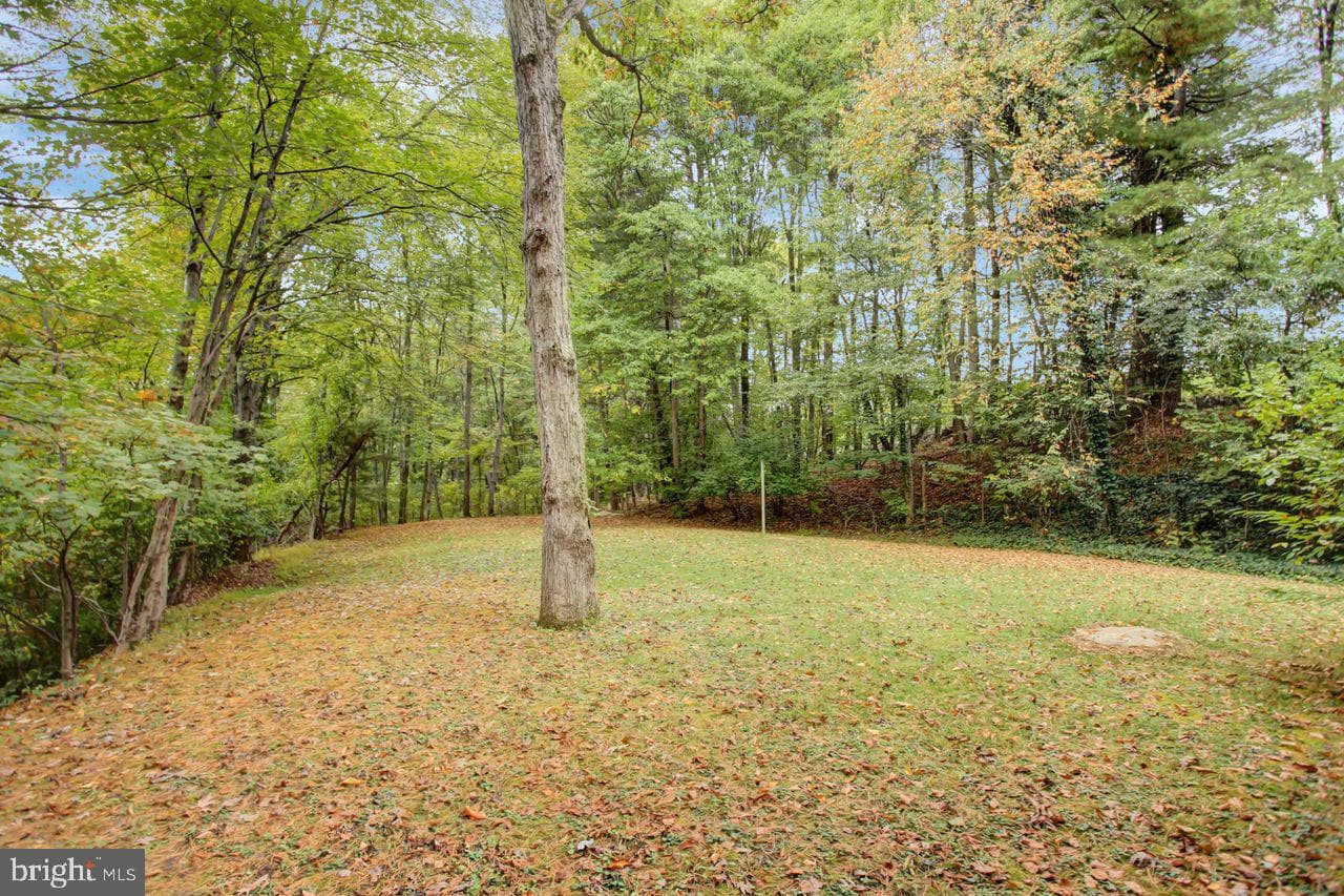 721 Narrows Road photo 4