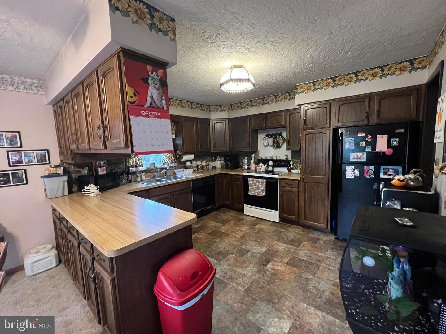 379 Lake Meade Drive photo 19