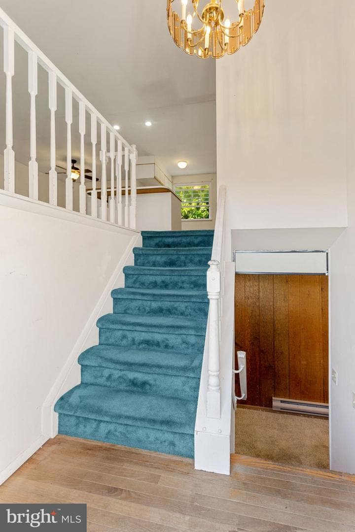 15 Orchard Drive photo 3