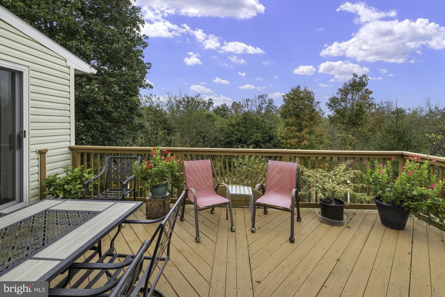 45 Plank Road photo 54