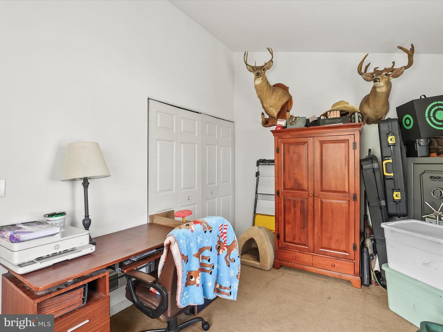 12 Fiddler Drive photo 7