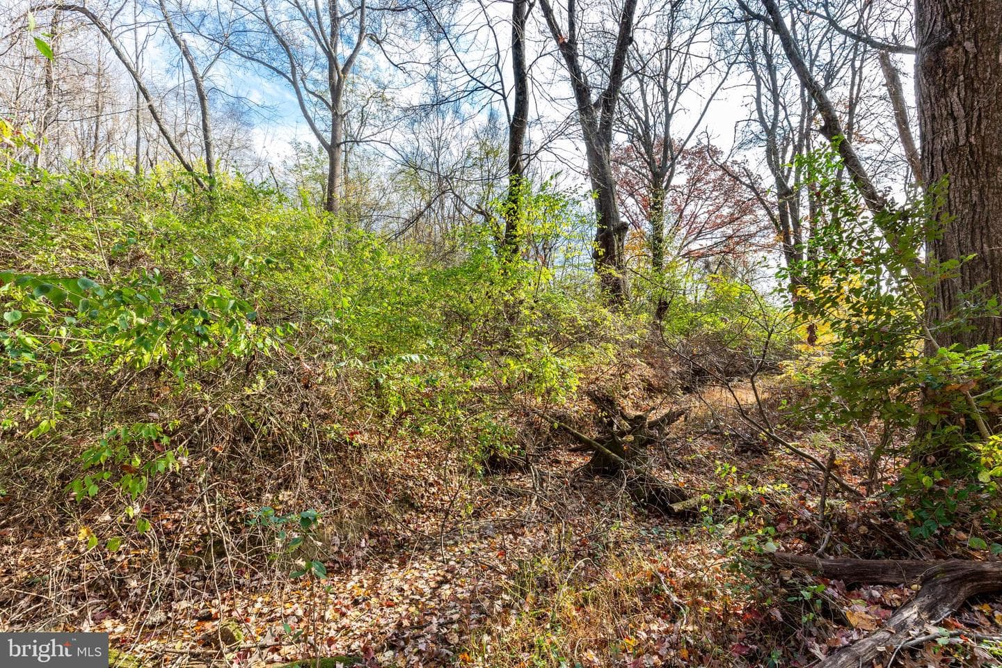 128 Pine Grove Road photo 84