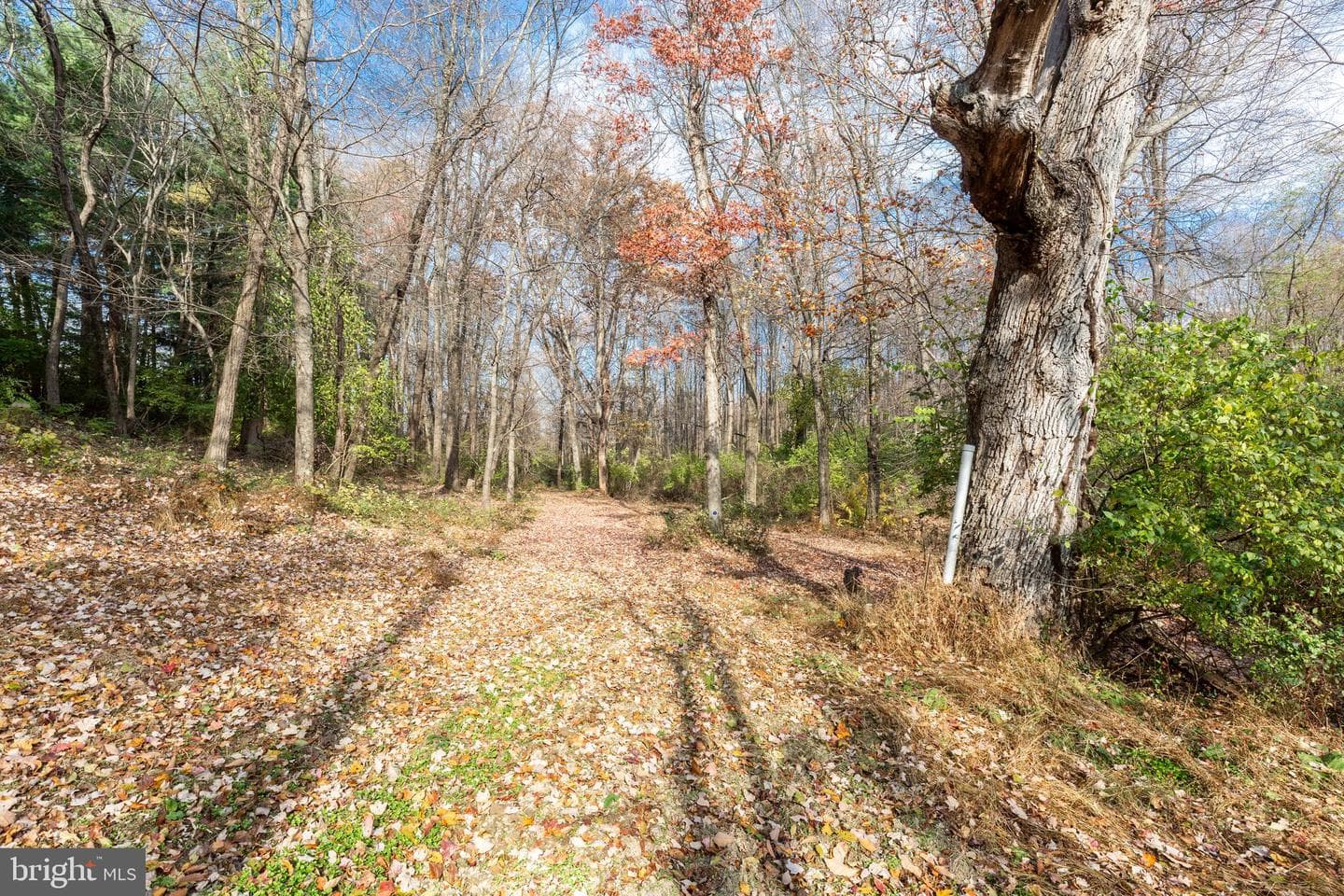 128 Pine Grove Road photo 85