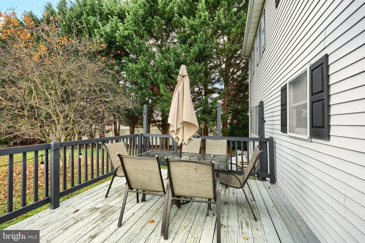 737 Poplar Street photo 9