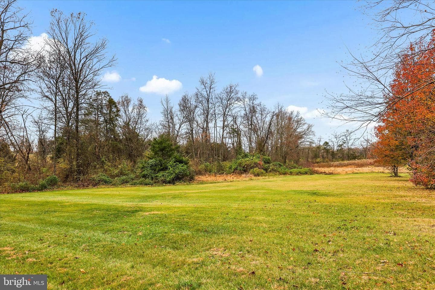 181 Gooseville Road photo 28