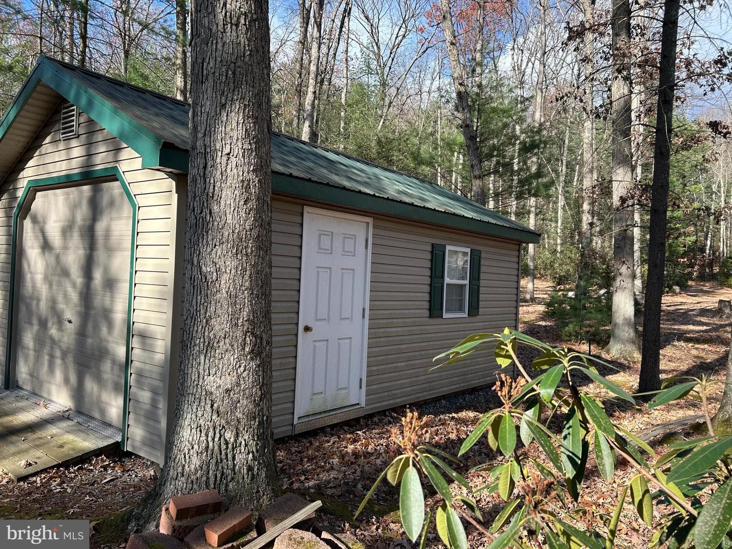 45 Evergreen photo 11