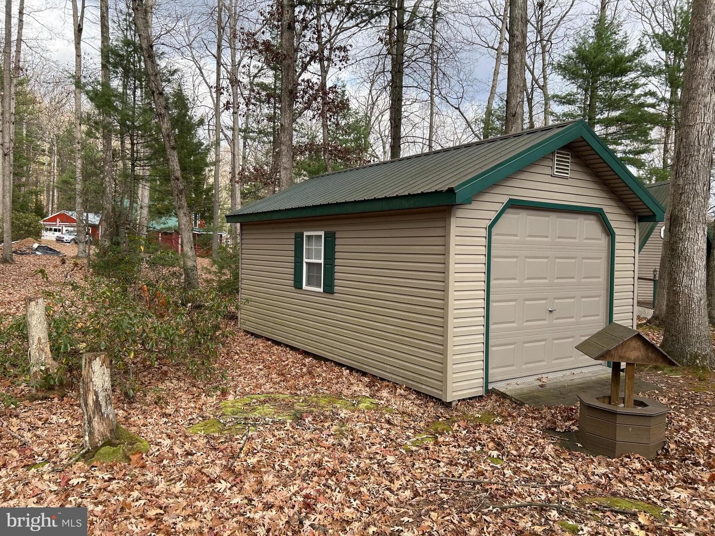 45 Evergreen photo 8