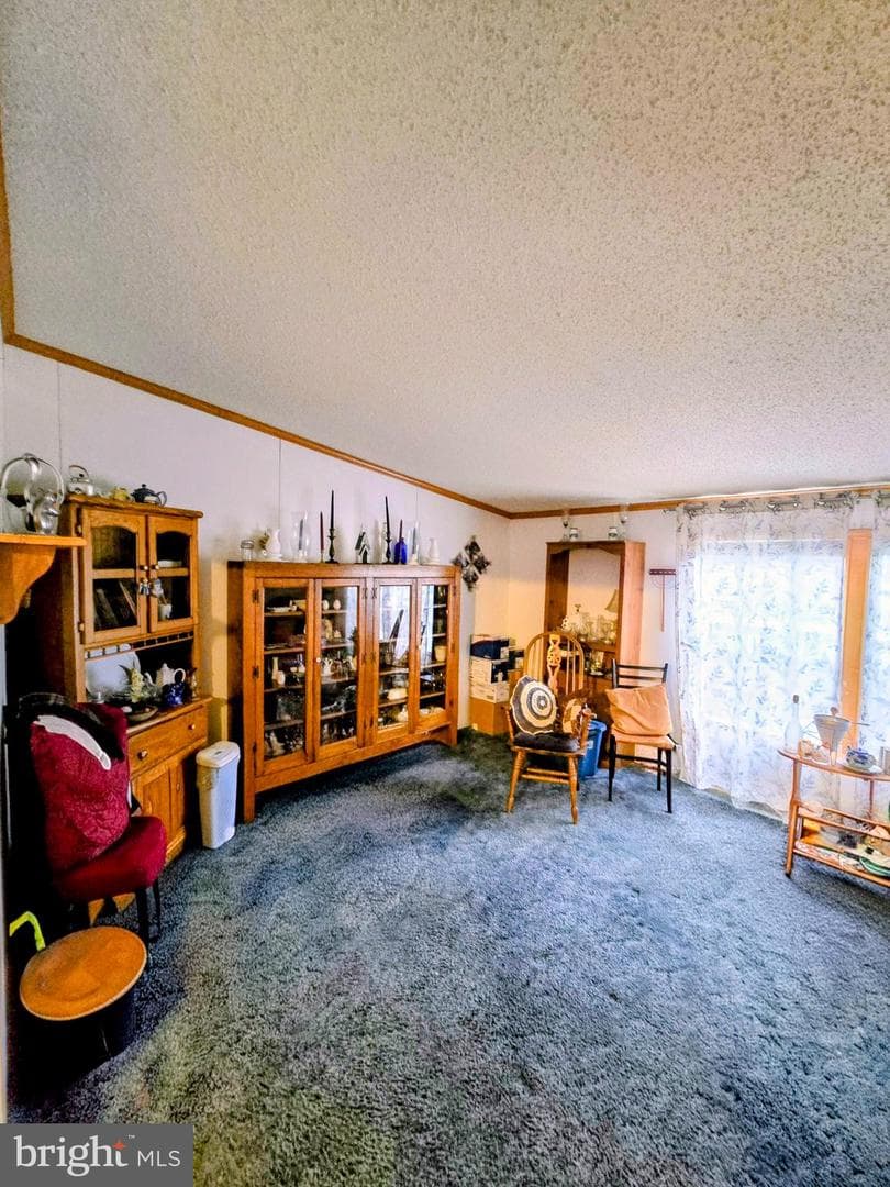 4820 Old Harrisburg Road #163 photo 6