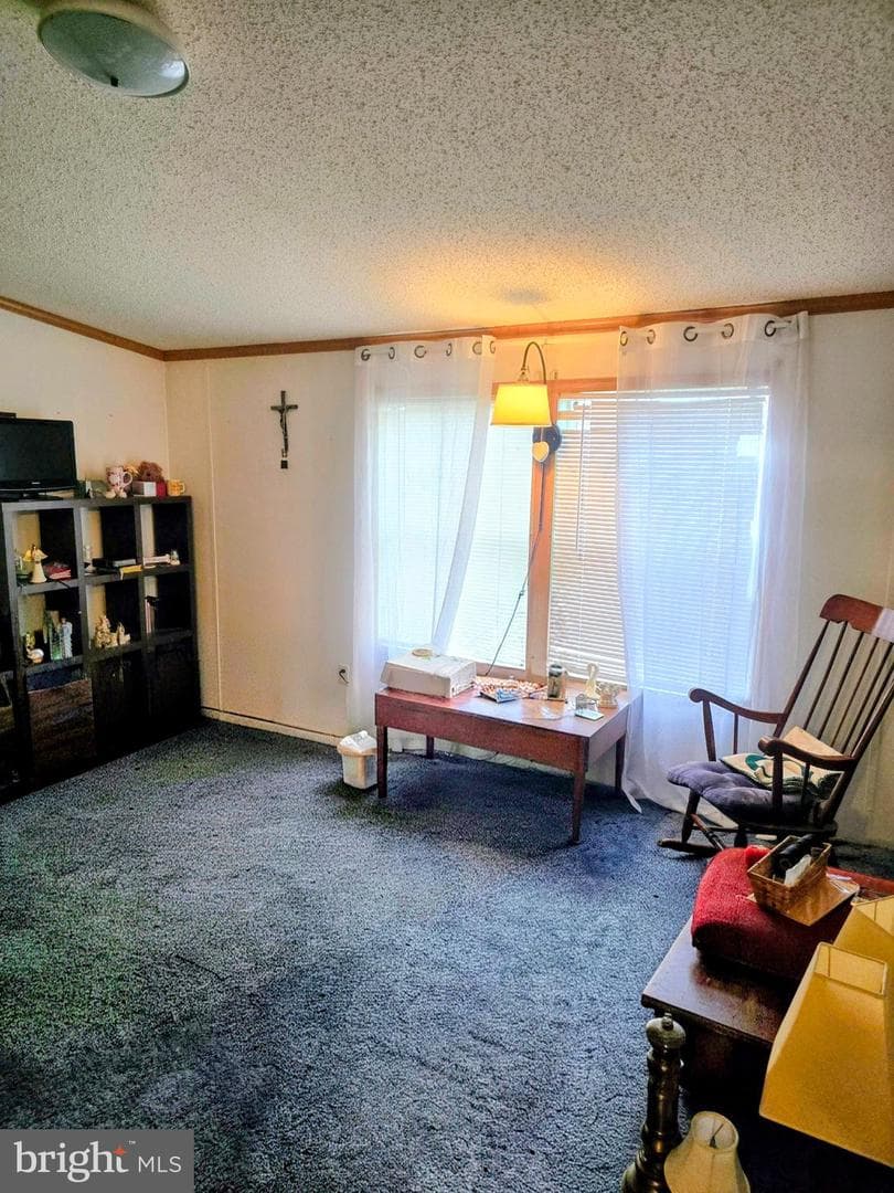 4820 Old Harrisburg Road #163 photo 8