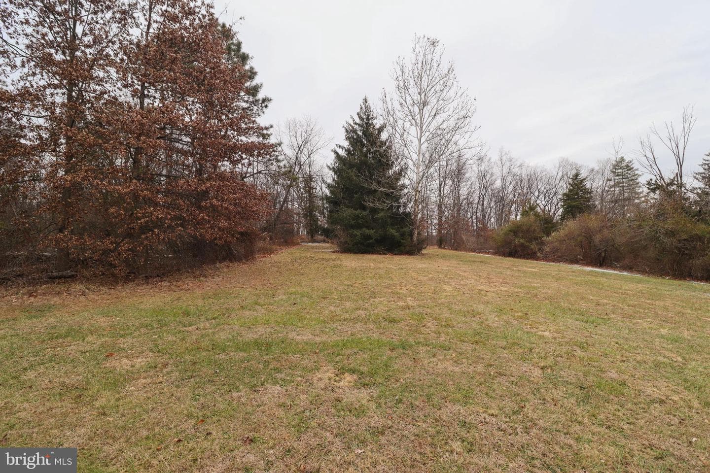 81 Rupp Road photo 41