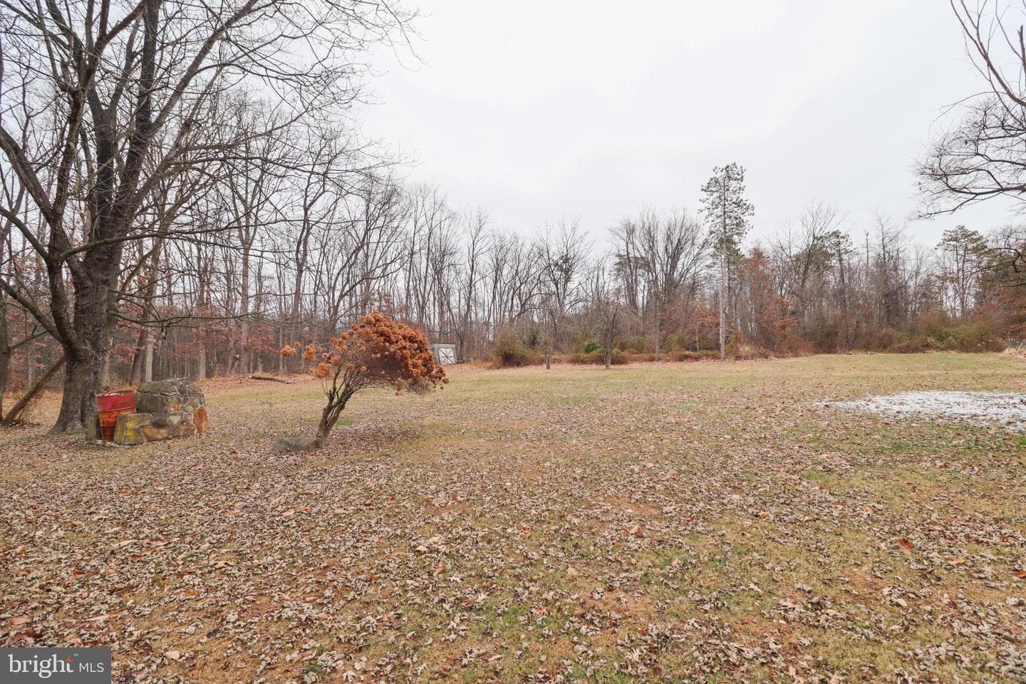 81 Rupp Road photo 48