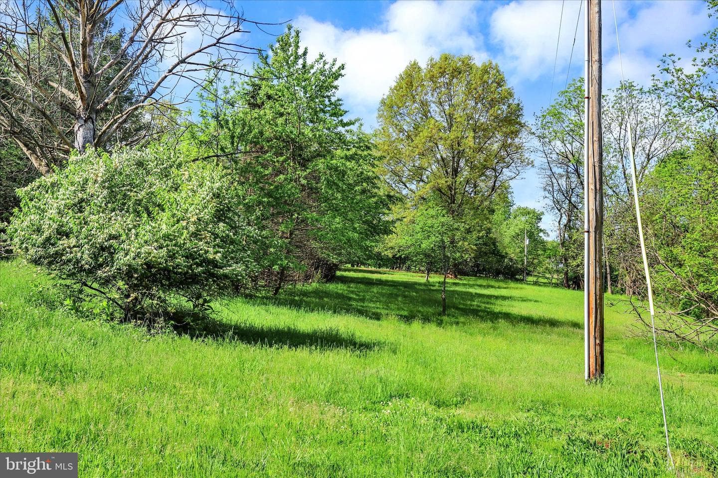620 Saint Johns Road photo 20