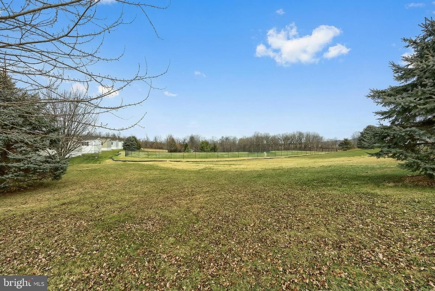 233 Eagle Drive photo 5