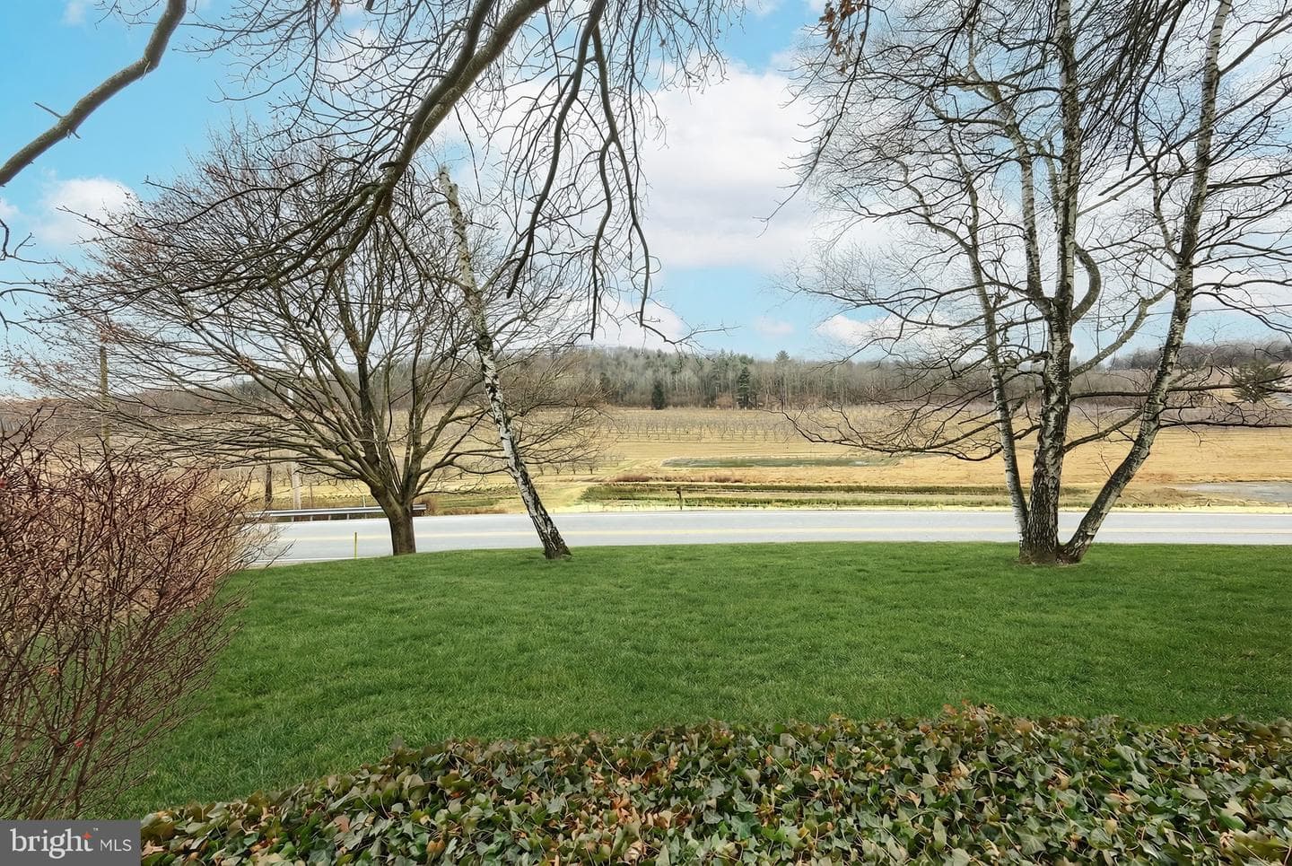 625 Mount Tabor Road photo 51