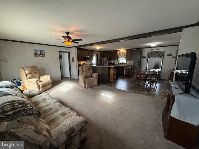 14 Egret Drive photo 17