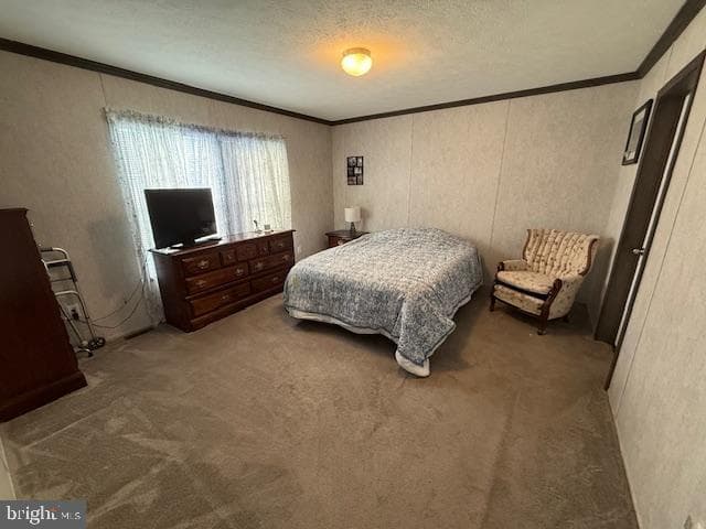 14 Egret Drive photo 19