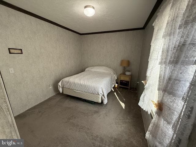 14 Egret Drive photo 25